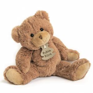 Peluche calin'ours - marron - taille 25 cm - boîte cadeau - Histoire d'ours - HO1155