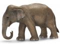 Figurine Eléphant d'Asie femelle - Schleich - 14654