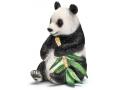 Figurine Panda géant, mâle - Schleich - 14664