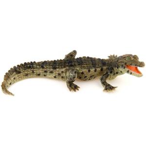 Bébé crocodile - Dim. 11,5 cm x 7 cm x 2,5 cm - Papo - 50137