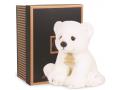 Les authentiques - ours polaire - 20 cm - boîte cadeau - Histoire d'ours - HO2211