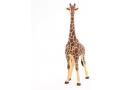 Figurine Papo Girafe mâle - Papo - 50149
