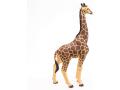 Girafe mâle - Dim. 11 cm x 6 cm x 20 cm - Papo - 50149