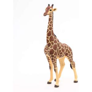 Girafe mâle - Dim. 11 cm x 6 cm x 20 cm - Papo - 50149