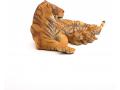 Figurine Papo Tigresse couchée allaitant - Papo - 50156