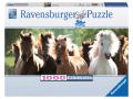 Puzzle 1000 pièces - Chevaux sauvages (Panorama) - Ravensburger - 15091