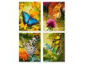 Peinture aux numeros - Papillons 18x24cm - Schipper - 609340628