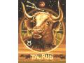 Peinture aux numeros - les signes astrologiques - Taureau cm - Schipper - 609390673