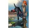 Peinture aux numéros - 23 x 34 x 2,5 cm - Collection artistes - chien - Mammut - 107002