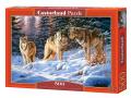Puzzle 500 pièces - Loups - Castorland - 51793
