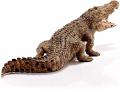 Figurine Crocodile - Schleich - 14736
