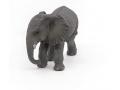 Figurine Papo Jeune éléphant d'Afrique - Papo - 50169