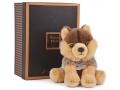 Les authentiques - louveteau - 20 cm - boîte cadeau - Histoire d'ours - HO2342