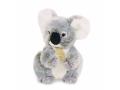 Les authentiques - koala - taille 20 cm - boîte cadeau - Histoire d'ours - HO2218