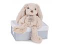Copains calins - lapin beige - taille 25 cm - boîte cadeau - Histoire d'ours - HO2430