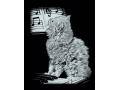 Carte à gratter argentée - 21 x 31 cm - chat sauvage et piano - Mammut - 136002