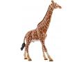 Figurine Girafe mâle - Schleich - 14749