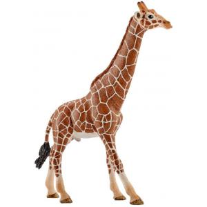 Schleich - 14749 - Figurine Girafe mâle - Dimension : 12,7 cm x 4,4 cm x 17 cm (303392)