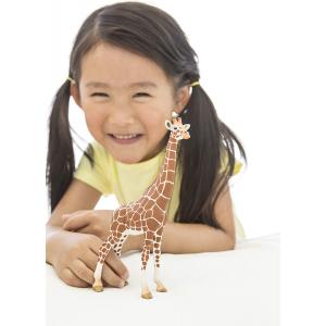 Figurine Girafe femelle - Dimension : 9 cm x 4,2 cm x 17,2 cm - Schleich - 14750