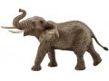 Figurine Éléphant d'Afrique mâle - Dimension : 19,5 cm x 9 cm x 12,3 cm - Schleich - 14762