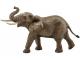 Éléphant d\'Afrique mâle