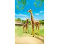 Girafe et girafon - Playmobil - 6640