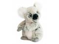 Peluche Koala 20 cm - Histoire d'ours - HO2555