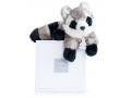 Raton laveur - 20 cm - boîte cadeau - Histoire d'ours - HO2544