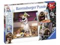 Puzzle 3x49 pièces - Amusement seul à la maison / Comme des bêtes - Ravensburger - 09413