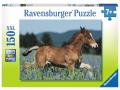 Puzzle 150 pièces XXL - Poulain dans les prés - Ravensburger - 10024
