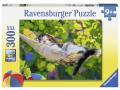 Puzzle 300 pièces XXL - Petit somme - Ravensburger - 13204