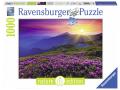 Puzzle 1000 pièces - Pré en montagne à l'aurore - Ravensburger - 19608