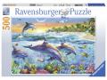 Puzzle 500 pièces - La baie des dauphins - Ravensburger - 14210