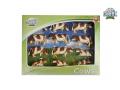 Set de 12 vaches rousses et blanches debout échelle 1:32 - Kids Globe Farmer - 571968