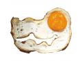 Moule en silicone pour œuf sur le plat Crocod'oeuf - Haba - 301865