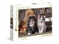 Puzzle adulte, 1000 pièces - Lovely Kittens - Clementoni - 39340