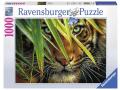Puzzle 1000 pièces - Tigre mystérieux - Ravensburger - 19486