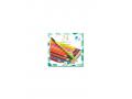 Les couleurs des grands - 24 crayons aquarellables - Djeco - DJ09754