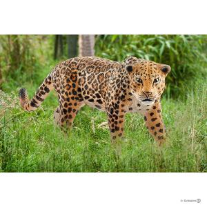 Figurine Jaguar - Dimension : 12 cm x 3,5 cm x 5,8 cm - Schleich - 14769