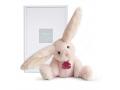 Fluffy - lapin rose petit modèle - taille 27 cm - boîte cadeau - Histoire d'ours - HO2734