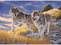 Puzzles 500 pièces high quality collection - The wolves - Clementoni - 35033
