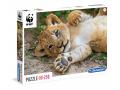 Puzzles 250 pièces wwf - WWF 250p lion (Ax2) - Clementoni - 29745