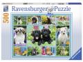 Puzzle 500 pièces - Adorables chiots - Ravensburger - 14708