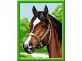 Numéro d'Art moyen format - Collection chevaux lignes colorées - Jeu créatif - Beau pur sang arabe - Ravensburger - 28597