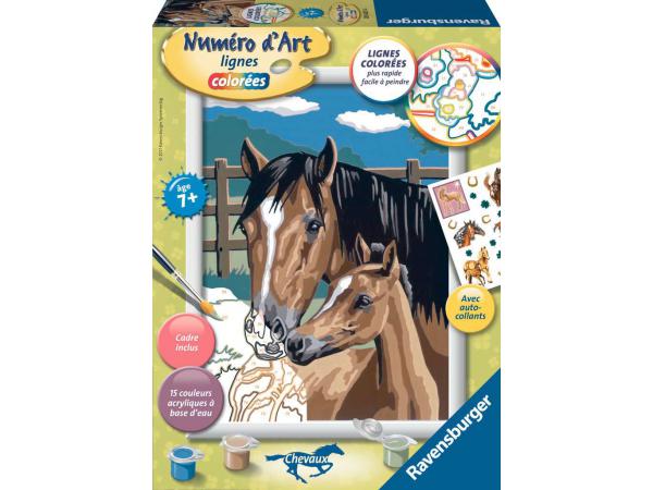 Numéro d'art moyen format - collection chevaux lignes colorées - jeu créatif - tendresse