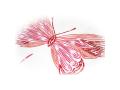 Housse de couette butterfly pink-red 140 x 200 - Taftan - DL-011