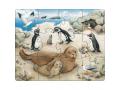 Puzzles Familles d’animaux - Haba - 302631