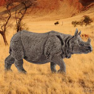 Figurine Rhinocéros indien - Schleich - 14816