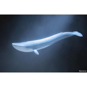 Figurine Baleine bleue - Schleich - 14806