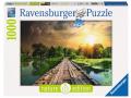 Puzzles adultes - Puzzle 1000 pièces - Lumière mystique - Ravensburger - 19538